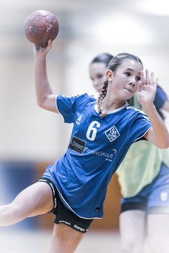 Bild 281 - wBJ TSV Ellerau - HSG Stoertal Hummeln : Ergebnis: 26:19